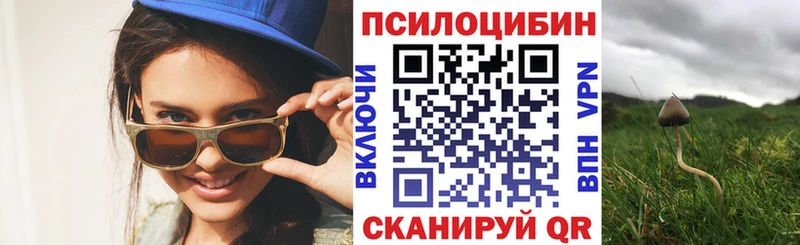 KRAKEN вход  Дедовск  Псилоцибиновые грибы мухоморы 
